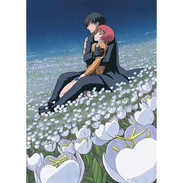 Amazon.co.jp: DARKER THAN BLACK -黒の契約者- コンプリート DVD-BOX